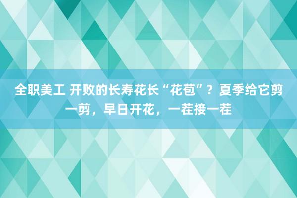 全职美工 开败的长寿花长“花苞”？夏季给它剪一剪，早日开花，一茬接一茬