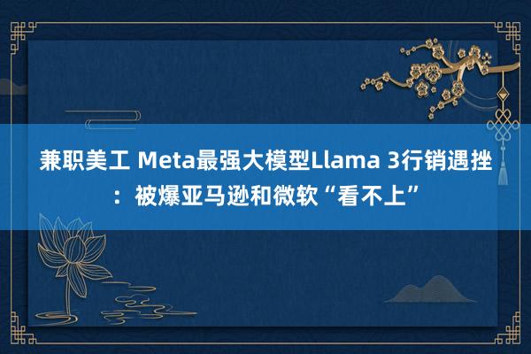 兼职美工 Meta最强大模型Llama 3行销遇挫：被爆亚马逊和微软“看不上”